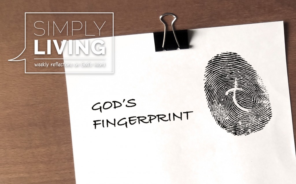 LifeWay Lutheran Church God's Fingerprint