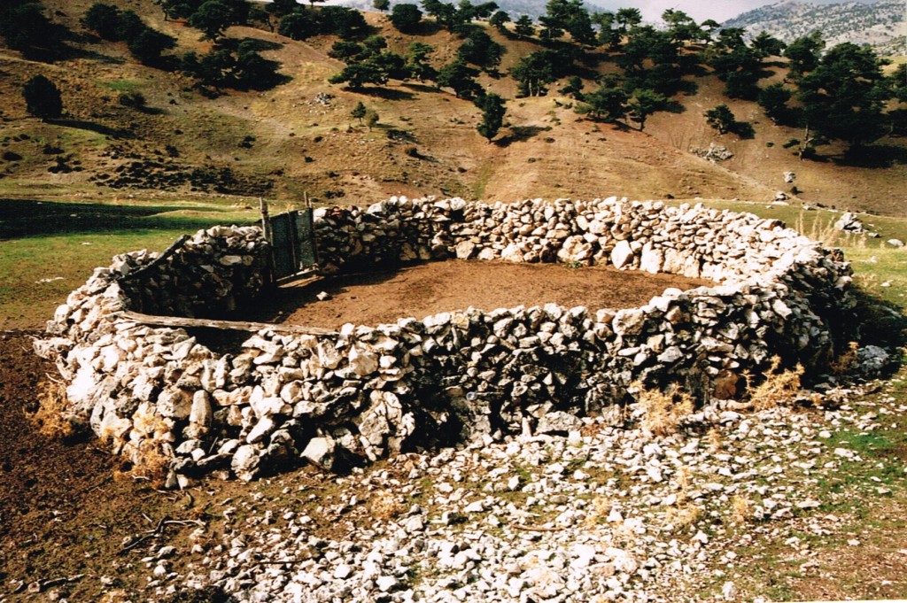 Living Faith Church Jesus Gate For The Sheep